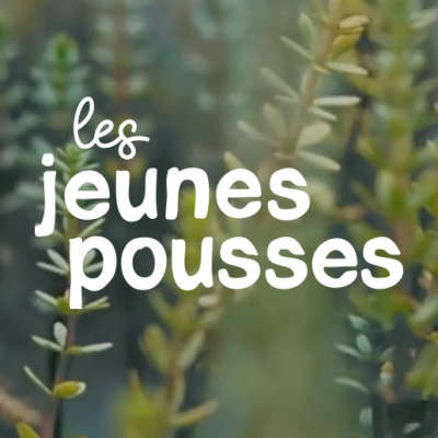 LES JEUNES POUSSES
