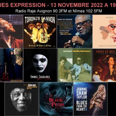 Blues Expression - Avec Michel Laporte - 13.11.2022