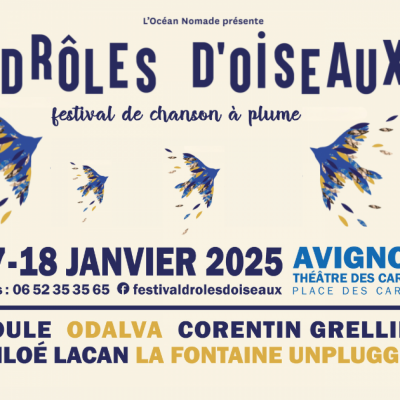 Drôles d’oiseaux Festival à Avignon les 17 & 18 Janvier : Interview de Thomas Pitiot