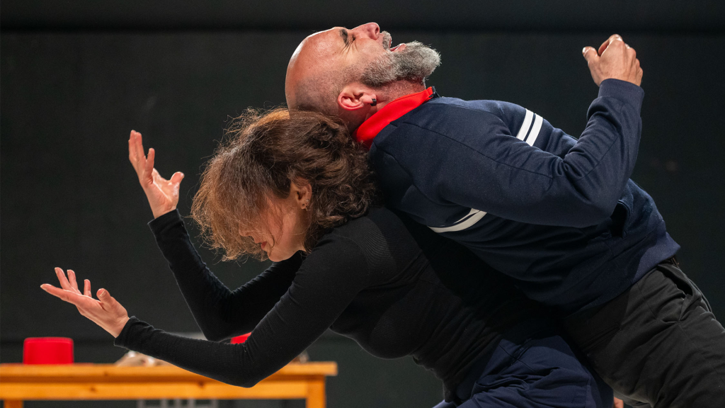 Le spectacle Don Quichotte, une femme à la tâche à Nîmes le 27 mars